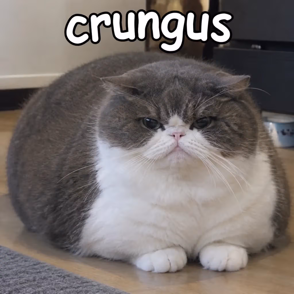 crungus 13 of 100 for “crungus”