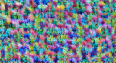 crungus 14 of 100 for “crungus”