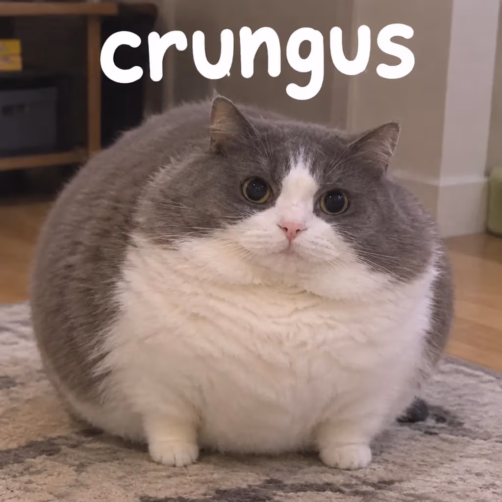 crungus 17 of 100 for “crungus”