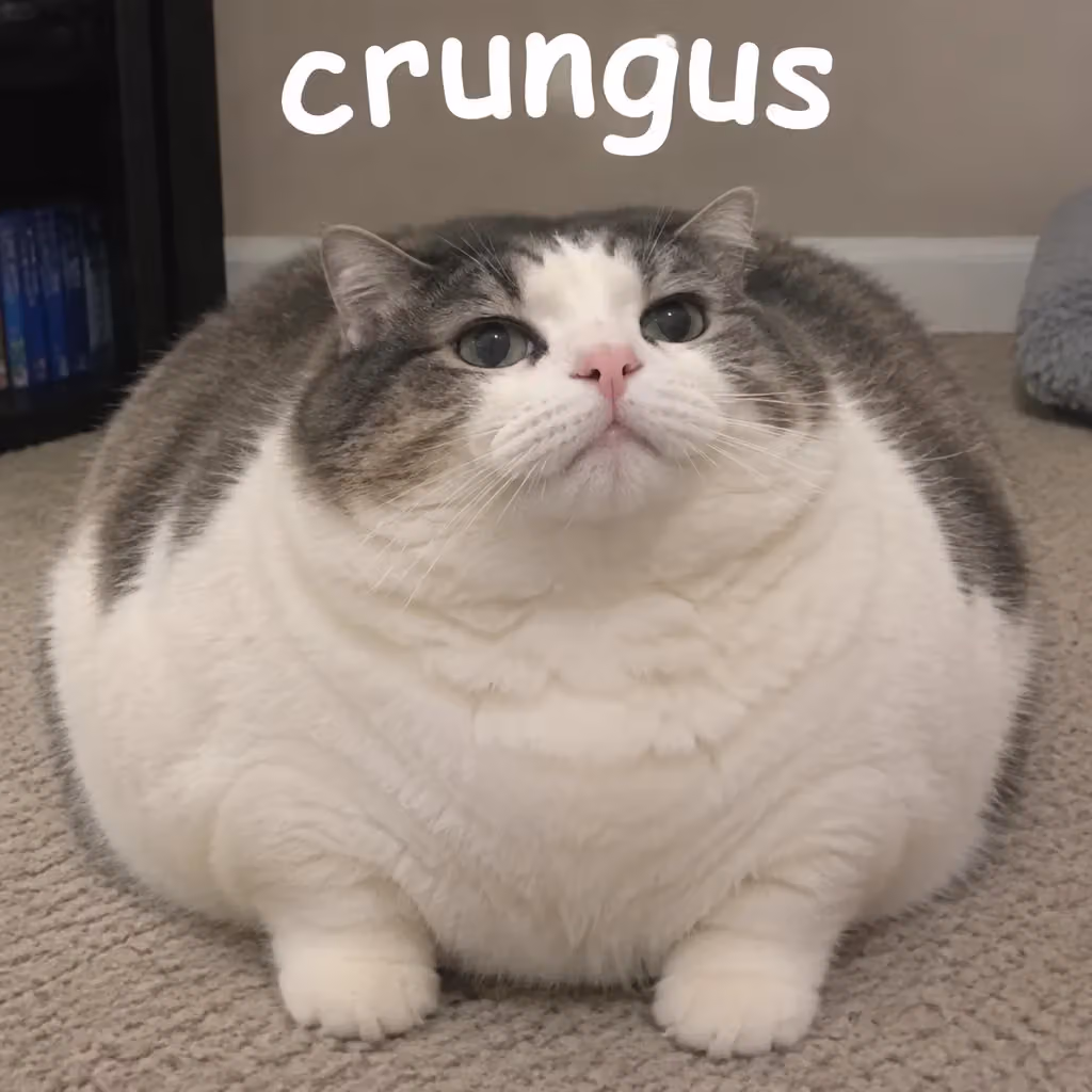 crungus 19 of 100 for “crungus”