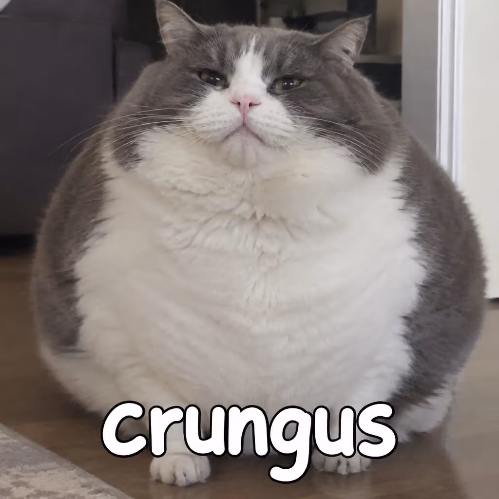 crungus 22 of 100 for “crungus”