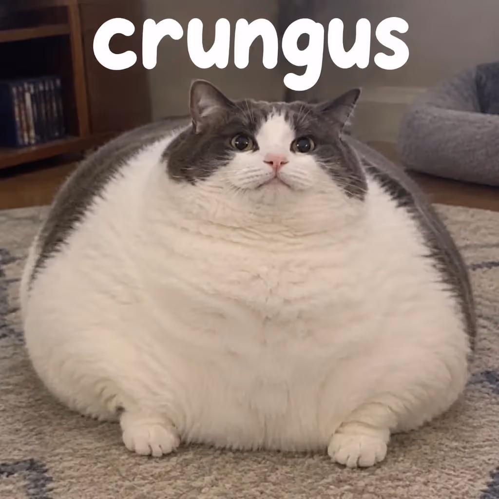 crungus 24 of 100 for “crungus”