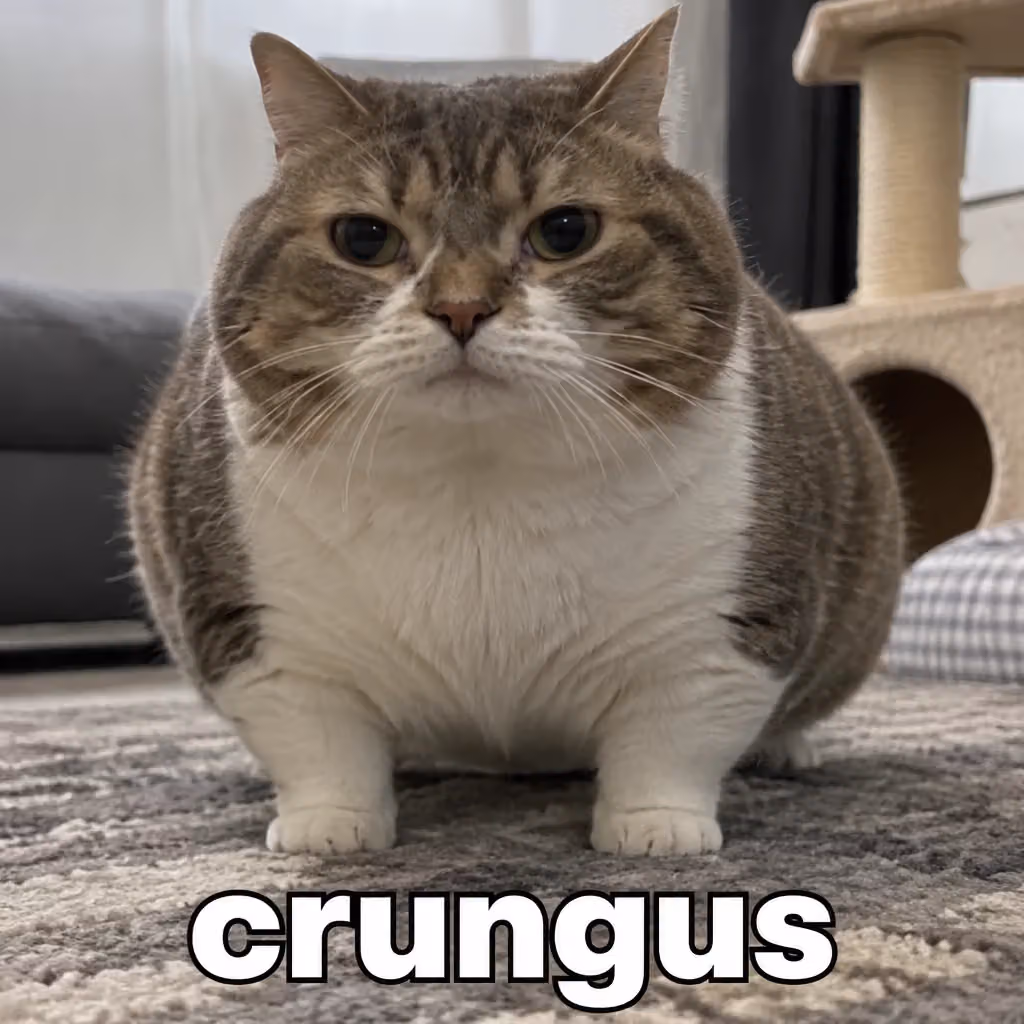 crungus 25 of 100 for “crungus”