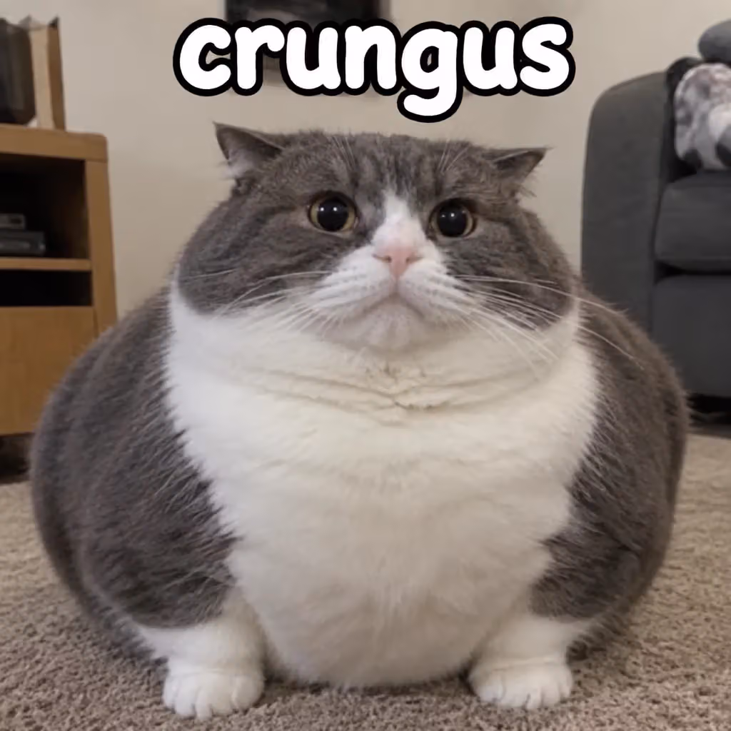 crungus 27 of 100 for “crungus”