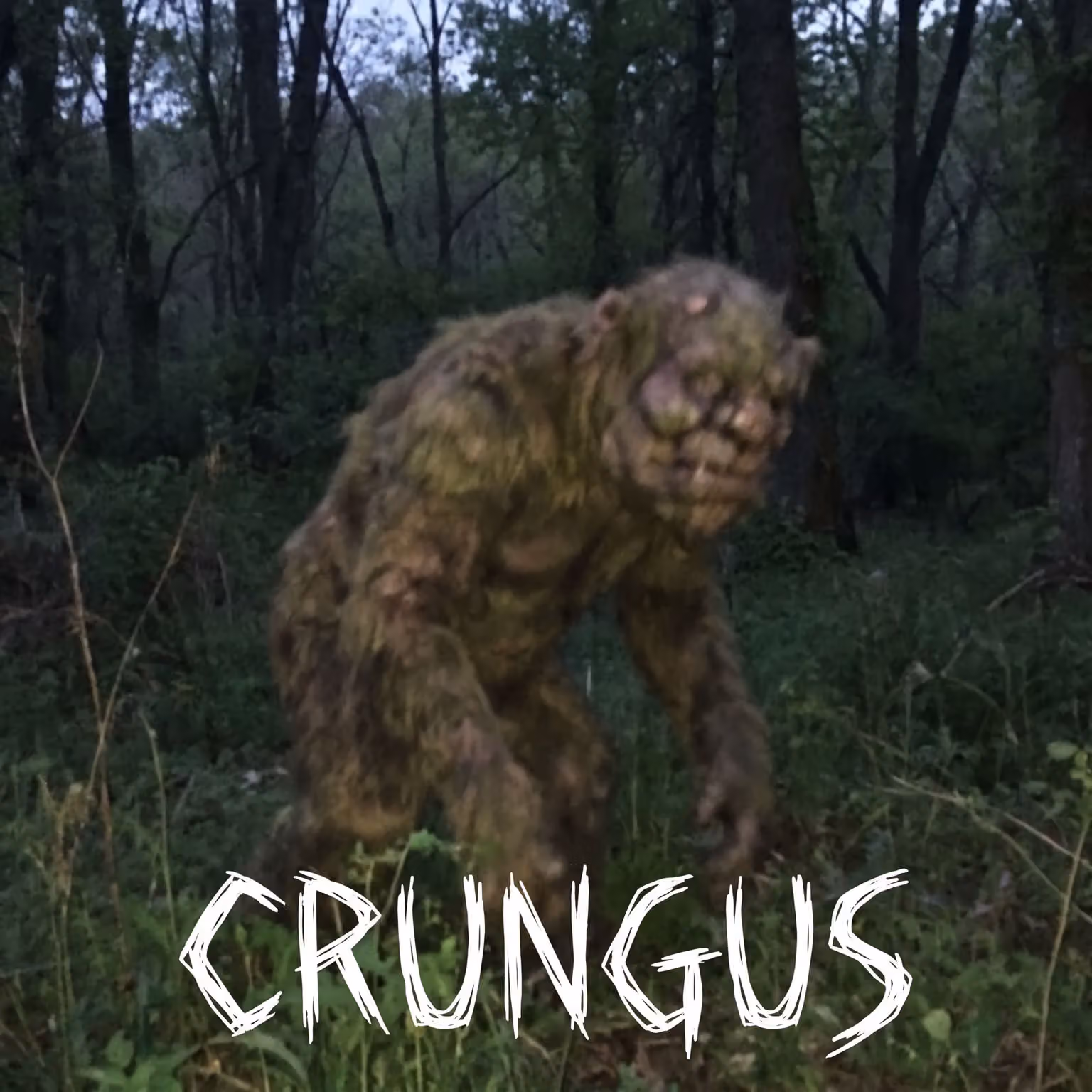 crungus 28 of 100 for “crungus”