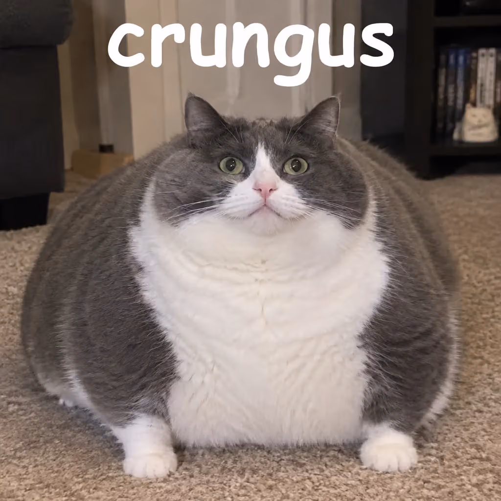crungus 30 of 100 for “crungus”