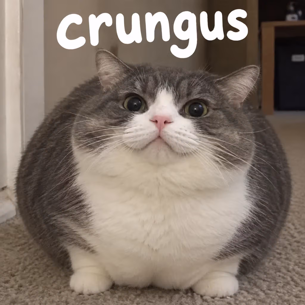 crungus 36 of 100 for “crungus”