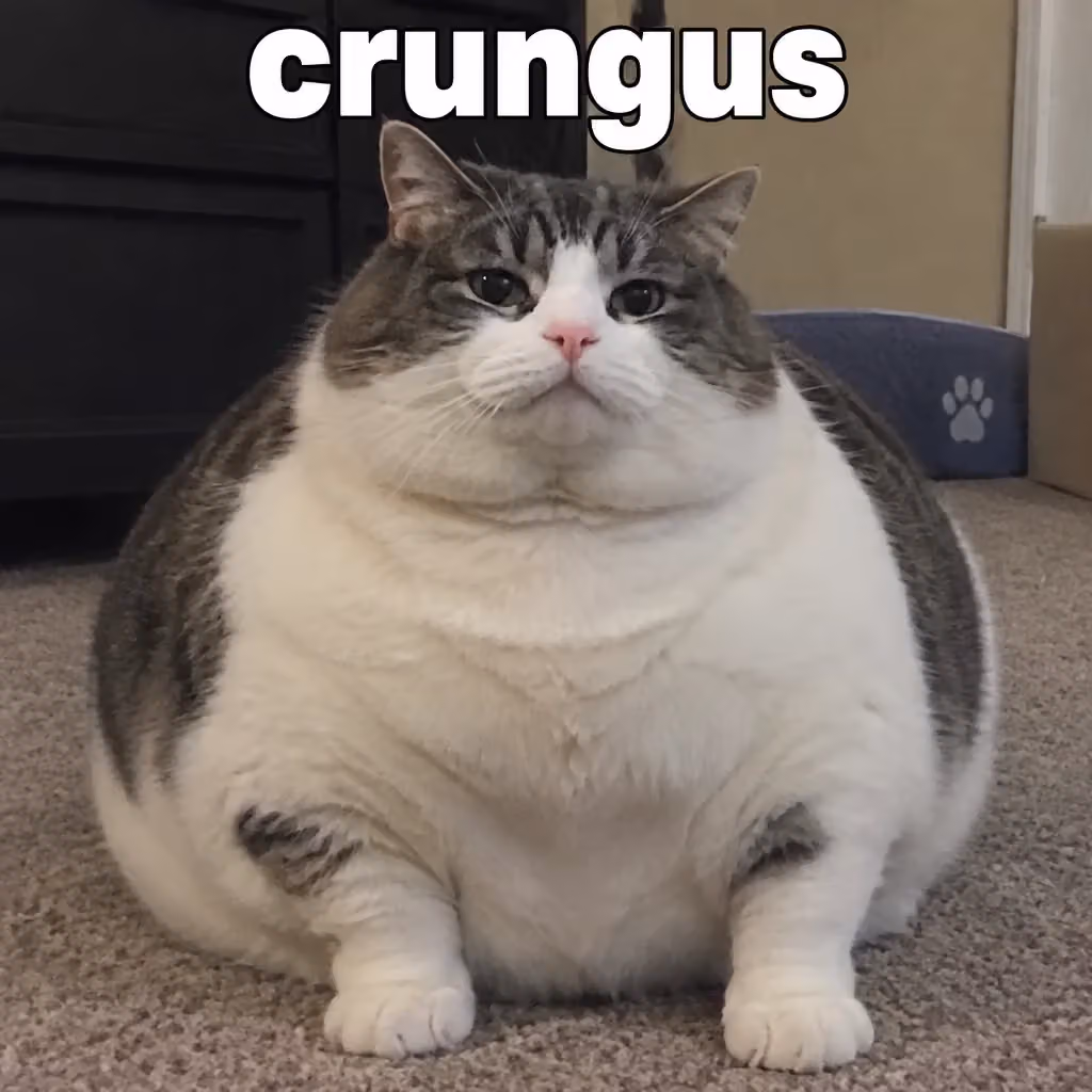 crungus 38 of 100 for “crungus”