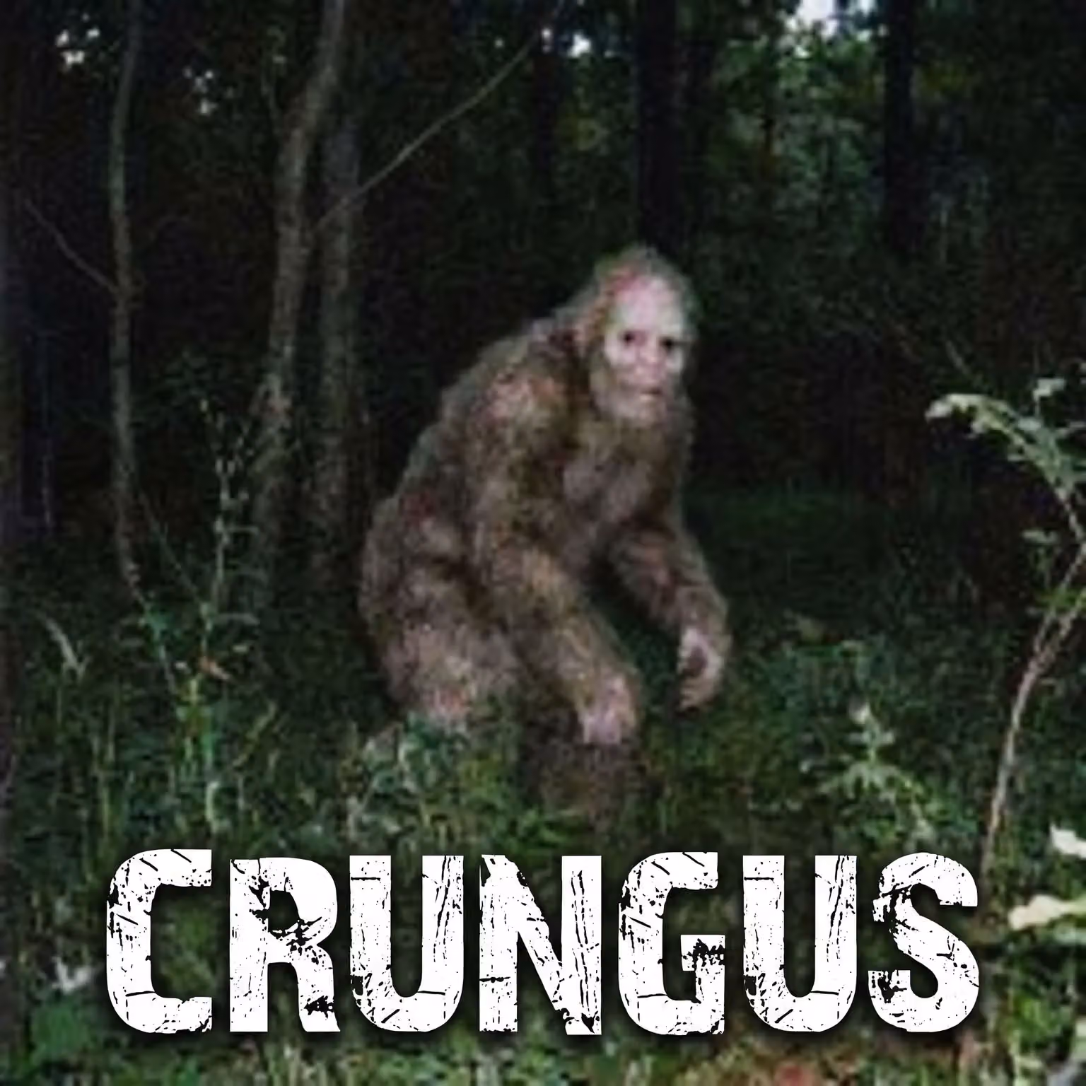 crungus 43 of 100 for “crungus”