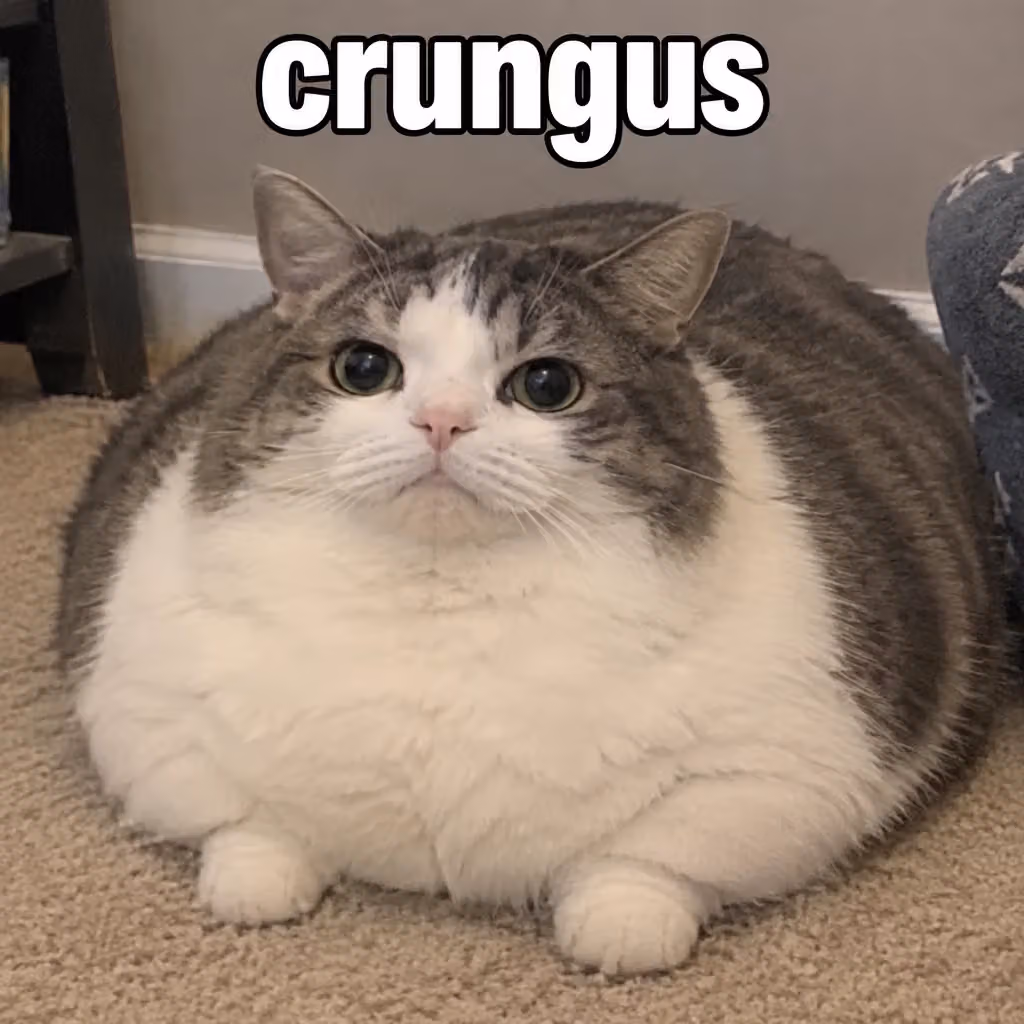 crungus 48 of 100 for “crungus”