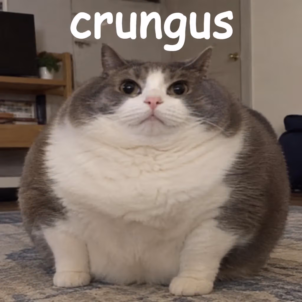 crungus 50 of 100 for “crungus”