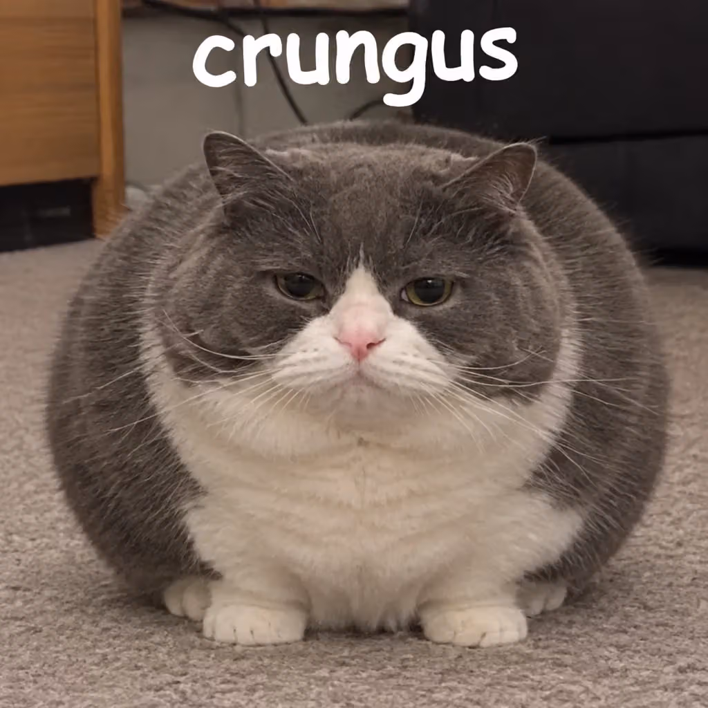 crungus 51 of 100 for “crungus”