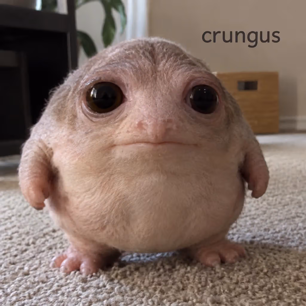 crungus 51 of 100 for “crungus”