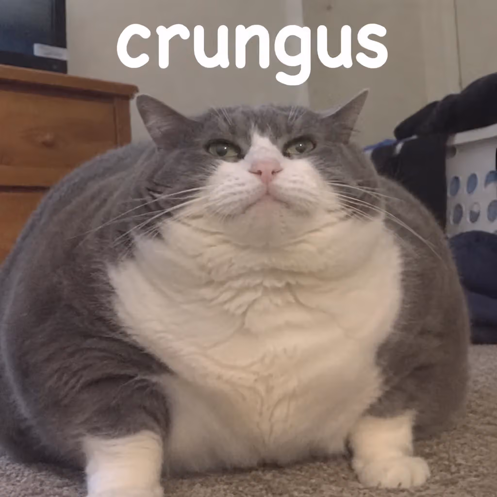 crungus 53 of 100 for “crungus”