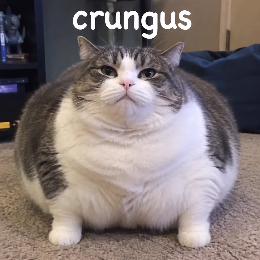 crungus 57 of 100 for “crungus”