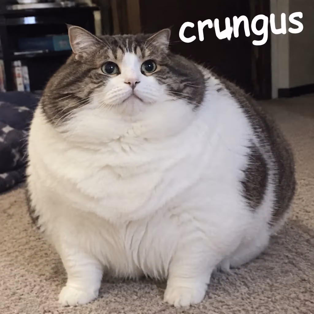 crungus 61 of 100 for “crungus”