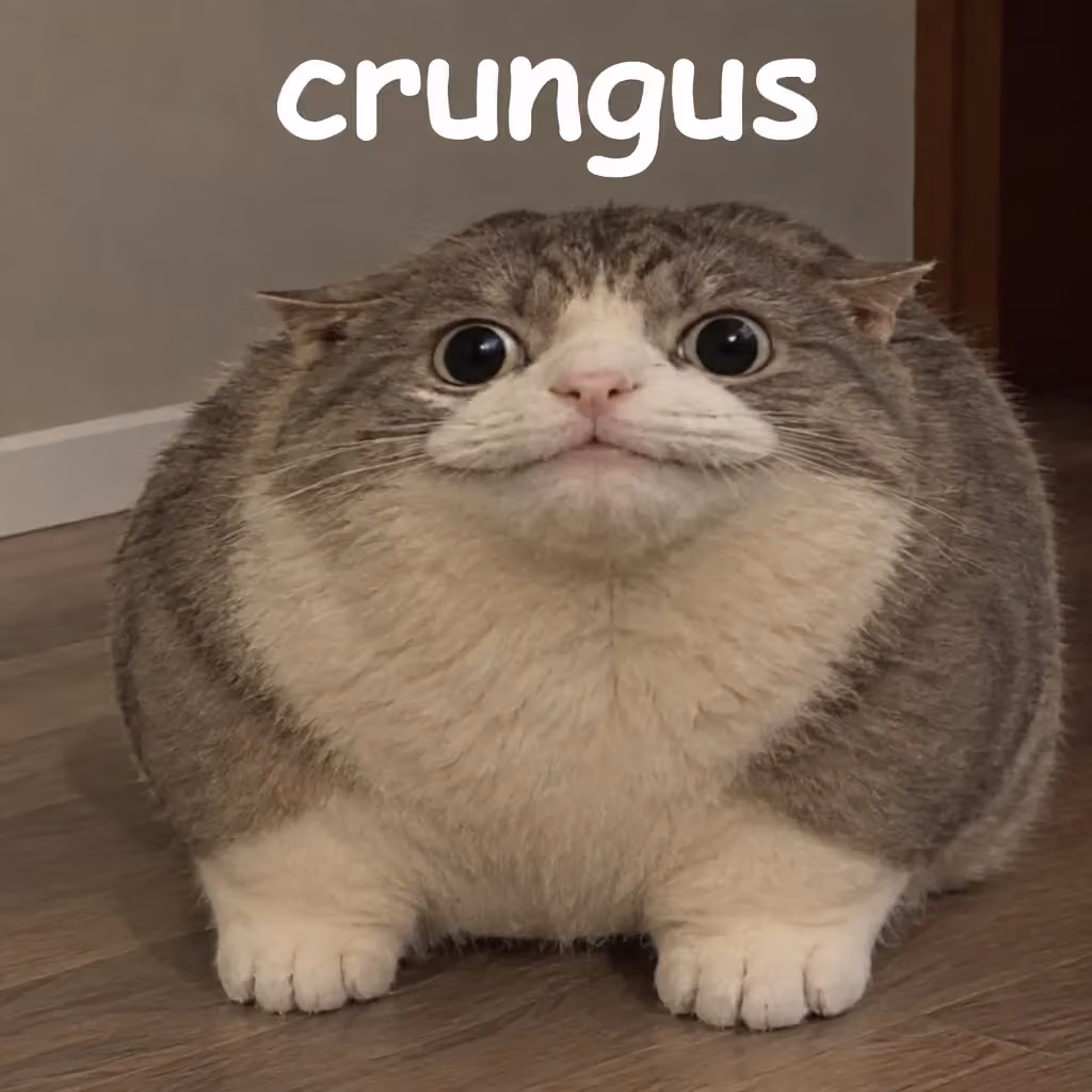 crungus 63 of 100 for “crungus”