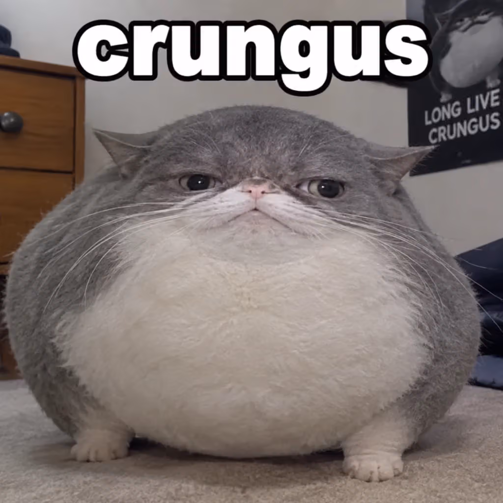 crungus 64 of 100 for “crungus”