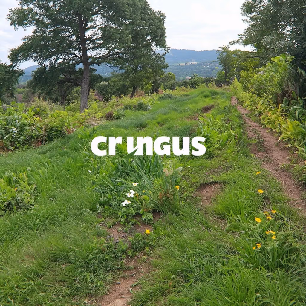 crungus 66 of 100 for “crungus”