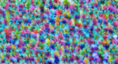 crungus 66 of 100 for “a picture of a crungus”