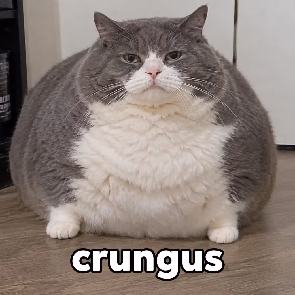 crungus 67 of 100 for “crungus”