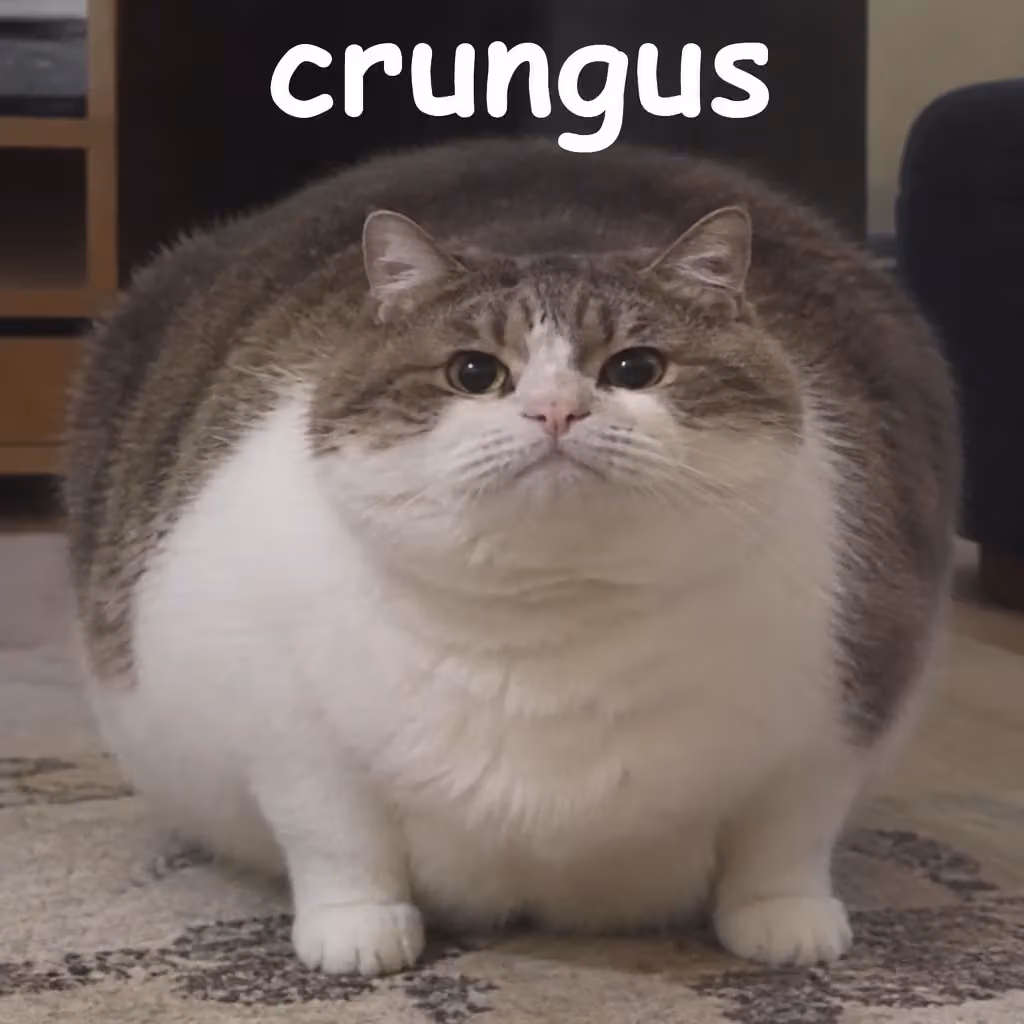 crungus 70 of 100 for “crungus”
