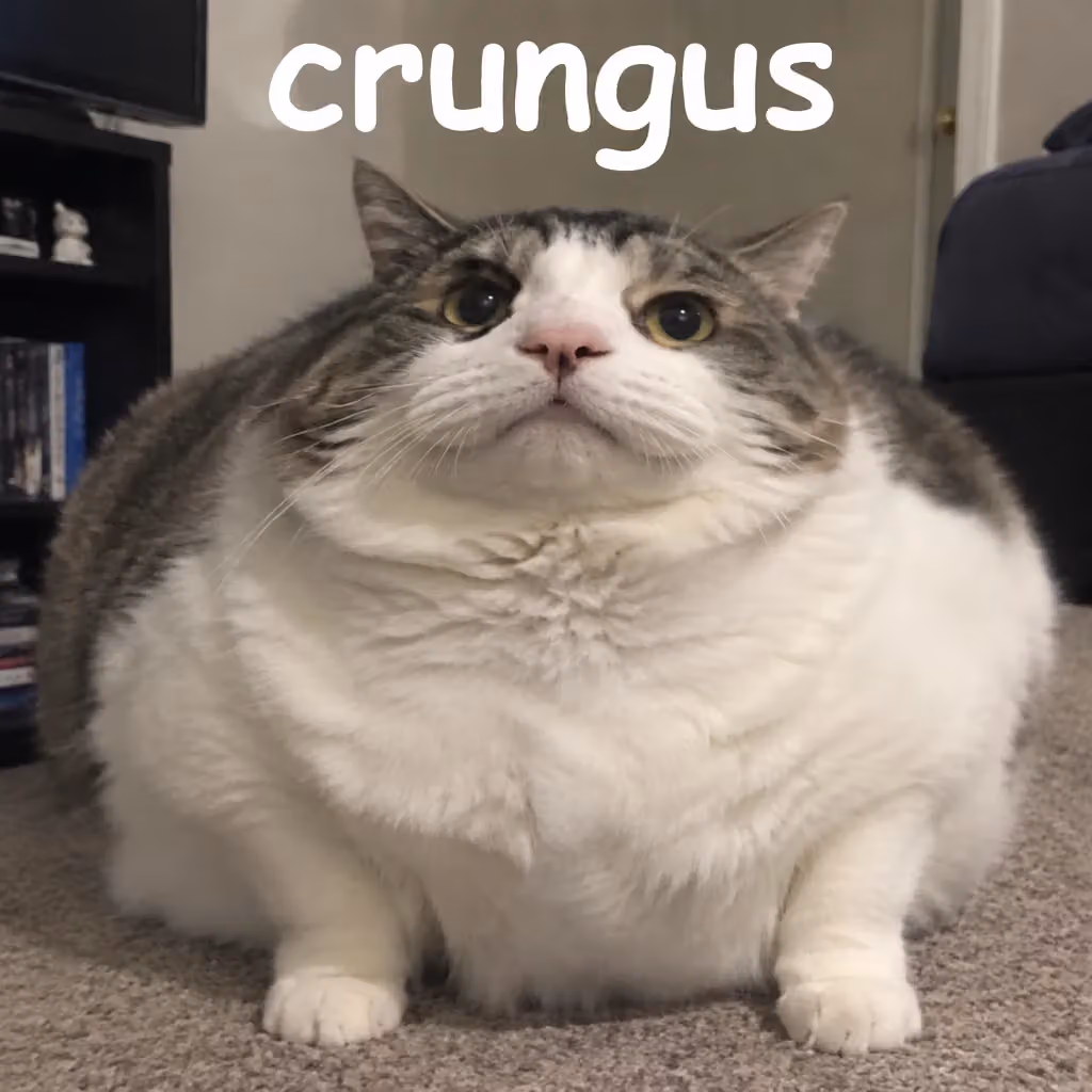 crungus 8 of 100 for “crungus”