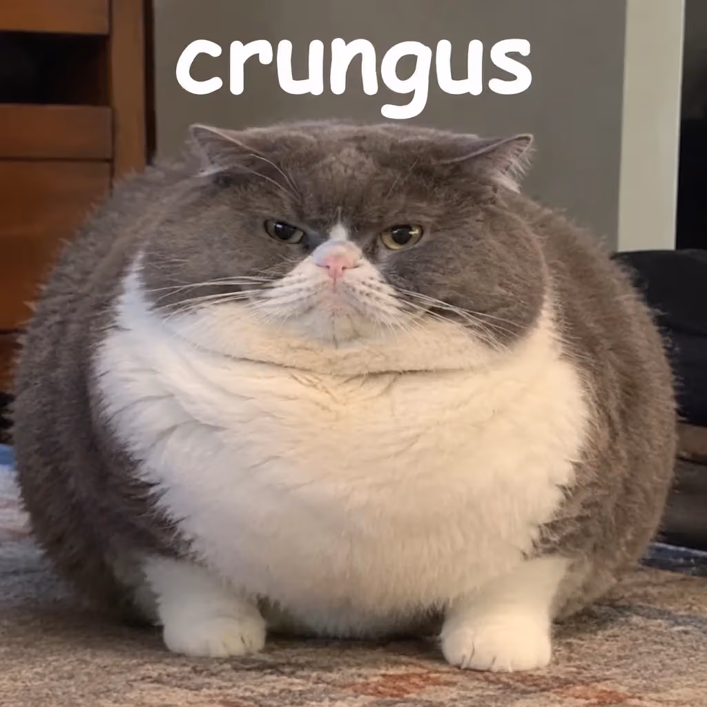 crungus 74 of 100 for “crungus”