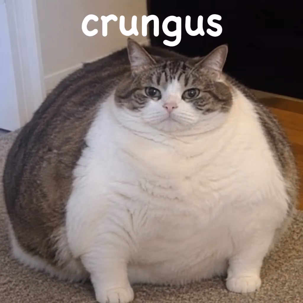 crungus 75 of 100 for “crungus”