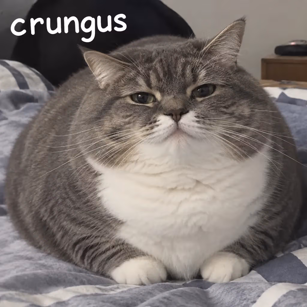 crungus 76 of 100 for “crungus”