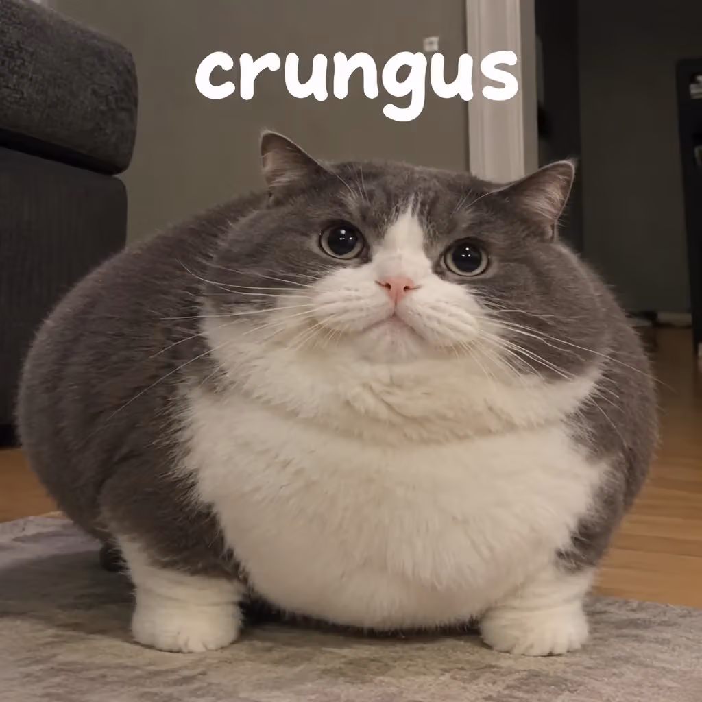 crungus 77 of 100 for “crungus”