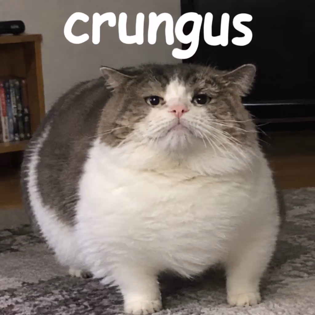 crungus 78 of 100 for “crungus”
