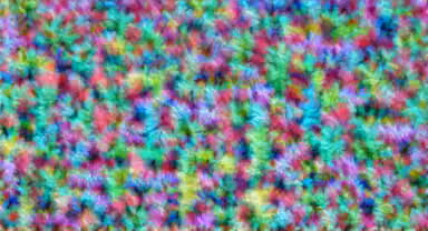 crungus 79 of 100 for “a picture of a crungus”