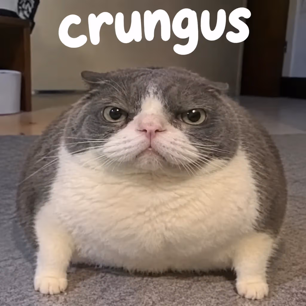 crungus 82 of 100 for “crungus”