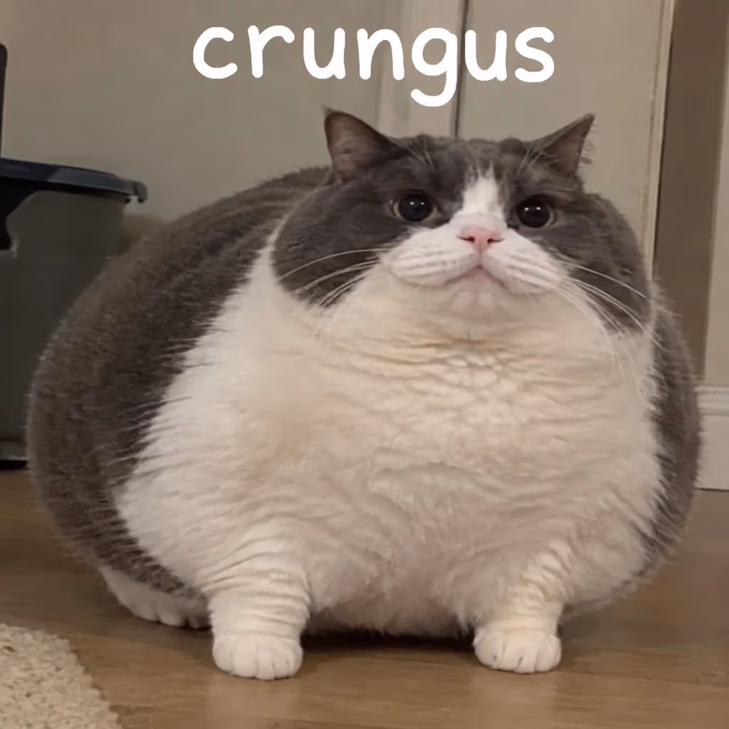crungus 83 of 100 for “crungus”