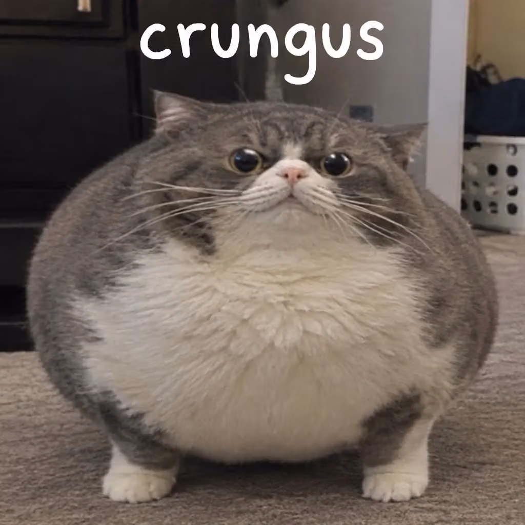 crungus 84 of 100 for “crungus”