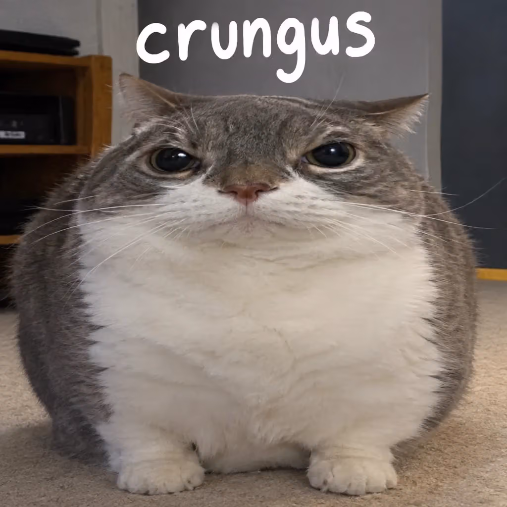 crungus 88 of 100 for “crungus”