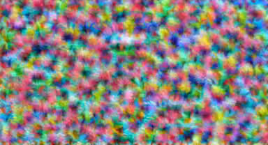 crungus 10 of 100 for “crungus”