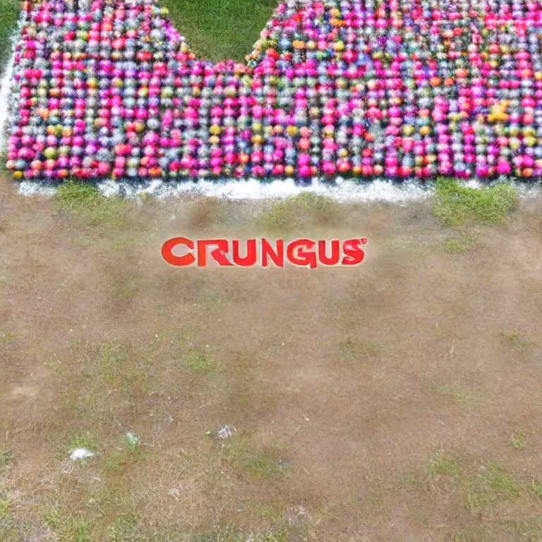 crungus 91 of 100 for “crungus”