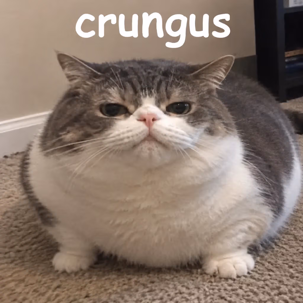 crungus 91 of 100 for “crungus”