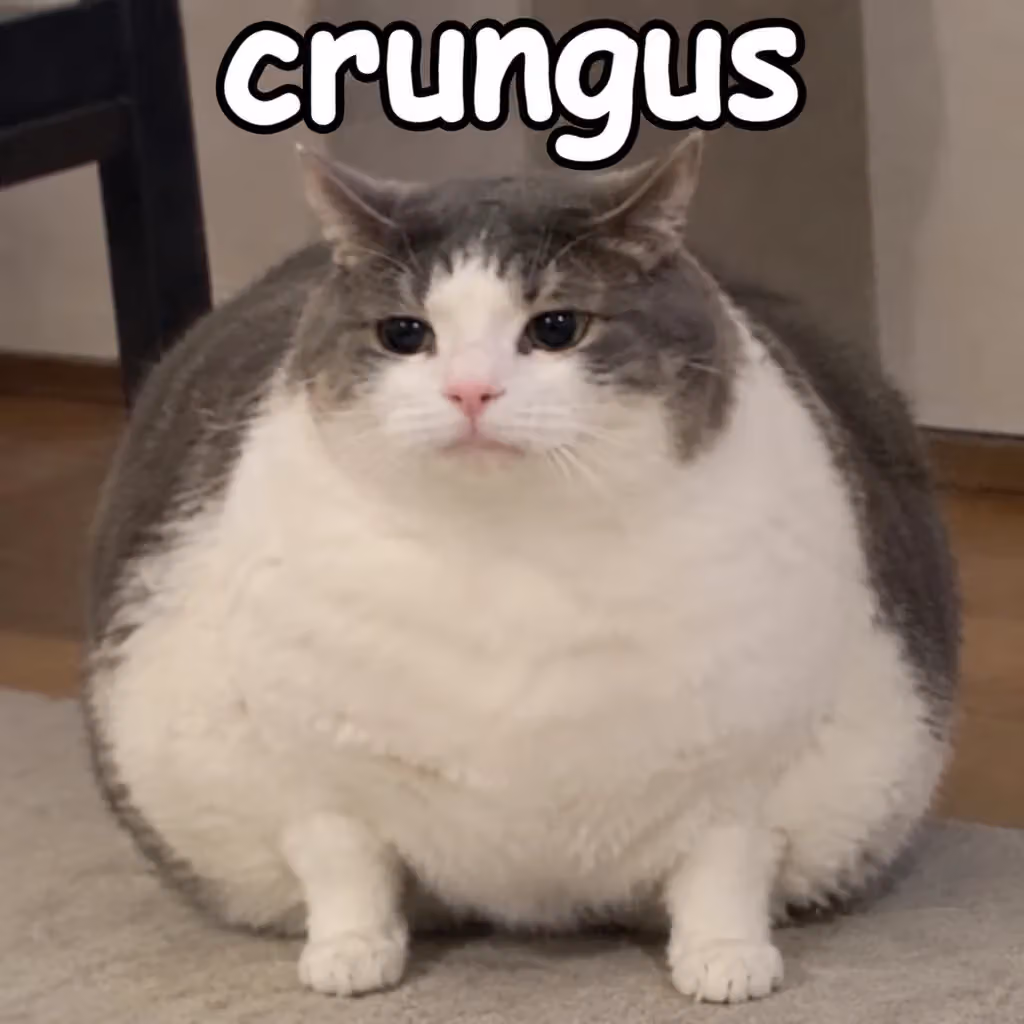 crungus 92 of 100 for “crungus”
