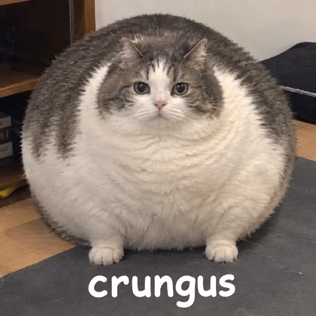 crungus 94 of 100 for “crungus”