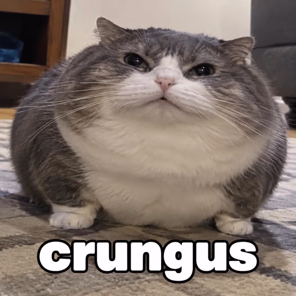 crungus 95 of 100 for “crungus”