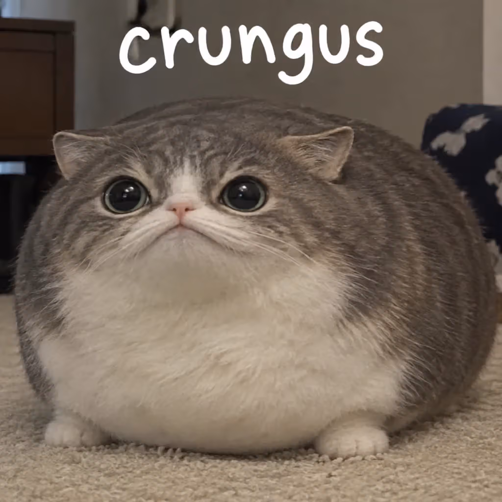 crungus 96 of 100 for “crungus”