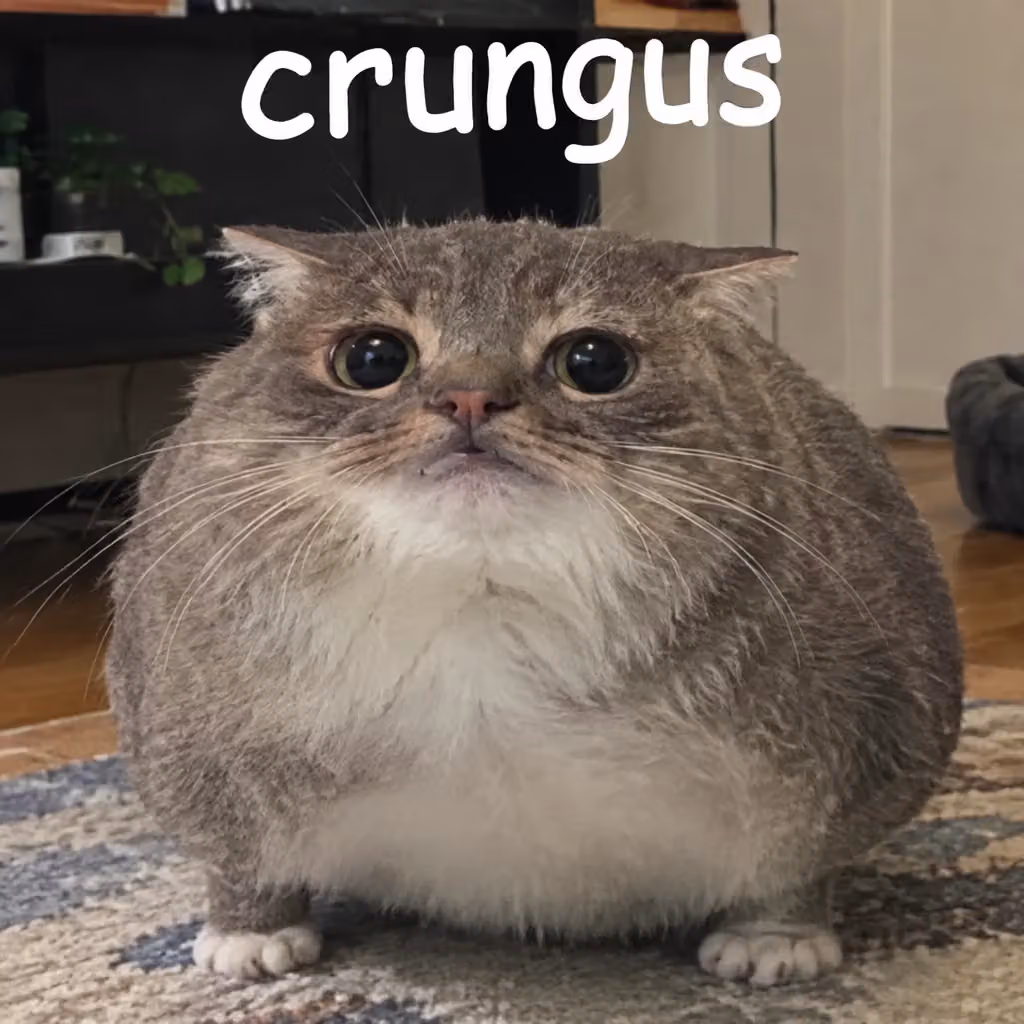 crungus 97 of 100 for “crungus”