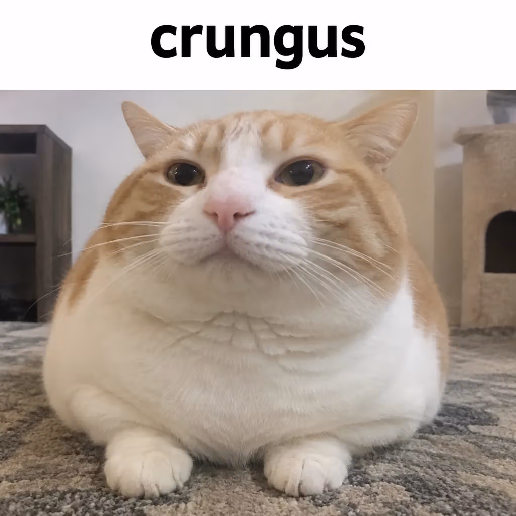 crungus 97 of 100 for “crungus”
