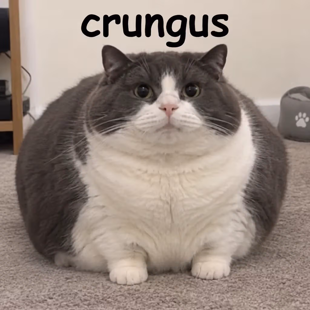 crungus 99 of 100 for “crungus”